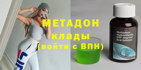 ГАЛЛЮЦИНОГЕННЫЕ ГРИБЫ Тайга