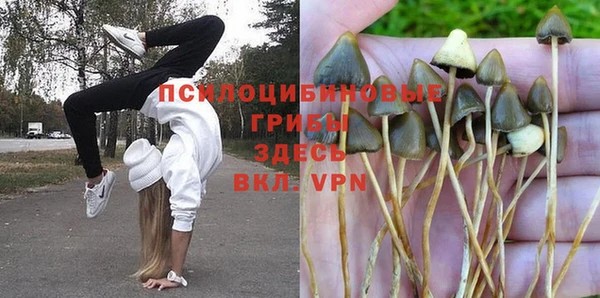 прущая мука Остров
