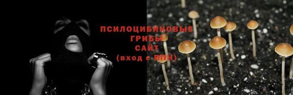 соль ск Осинники