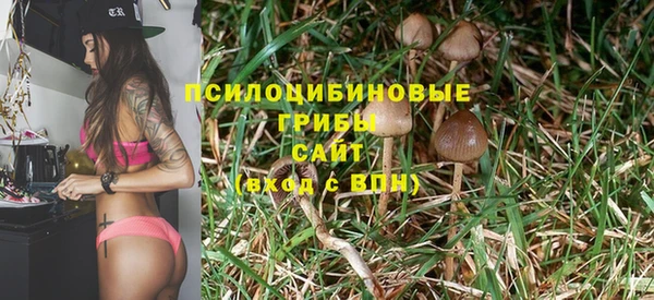 прущая мука Остров